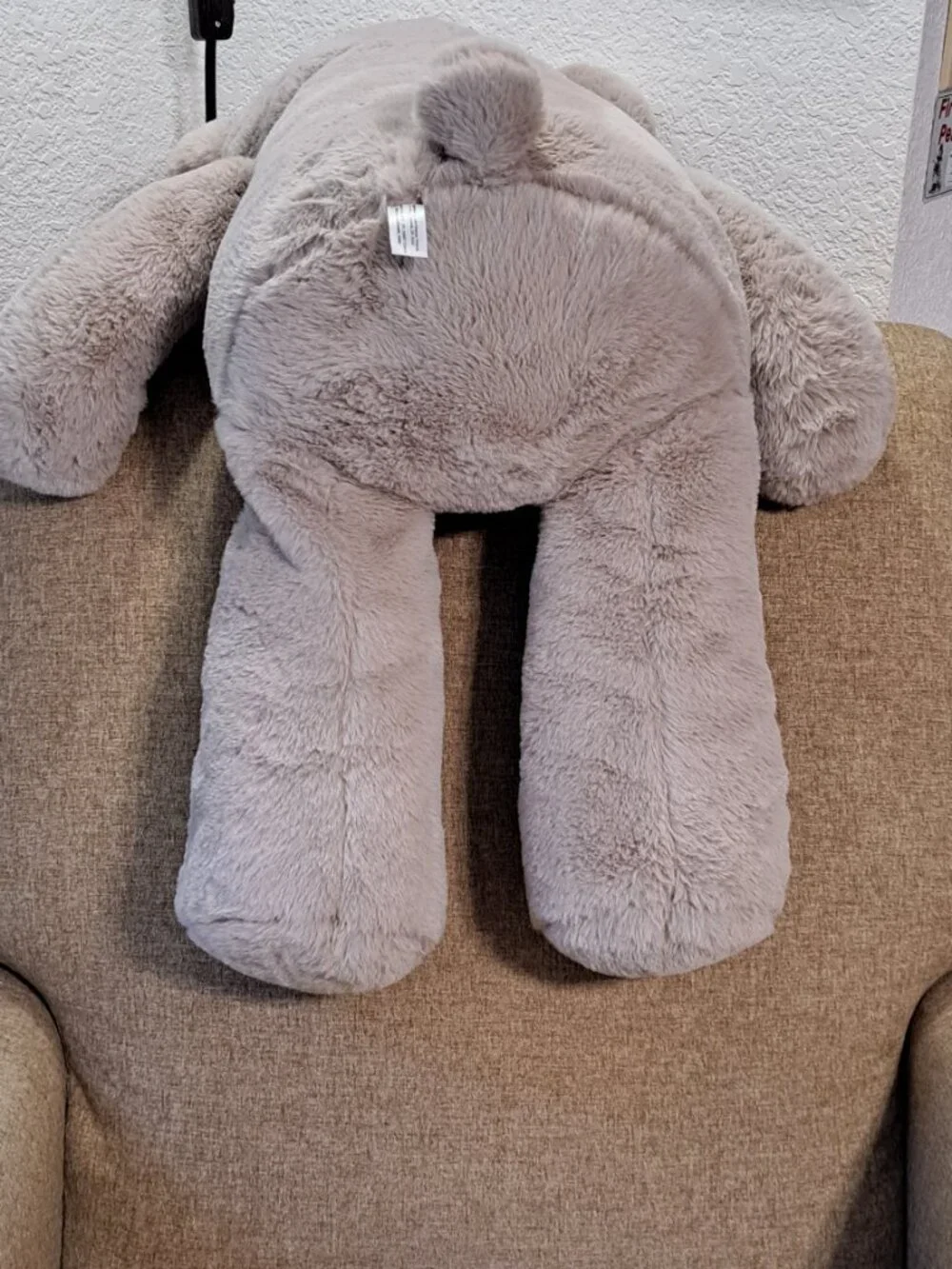 Large Plush Teddy Bear, very soft